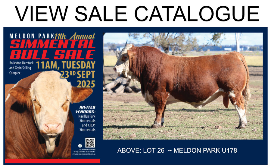 Sale Catalogue